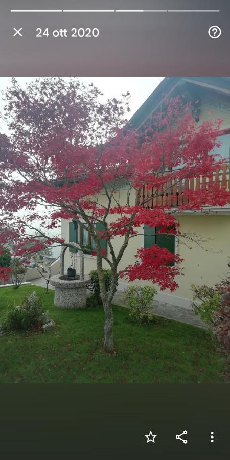 Di Montagna Appartement